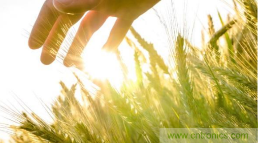 超聲波風速傳感器在生活環(huán)境中的各種應(yīng)用